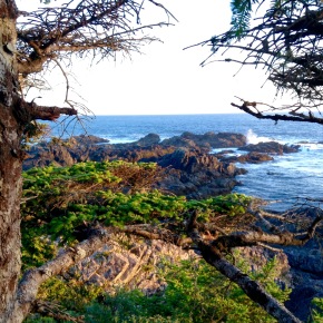 Ucluelet: Views from the edge